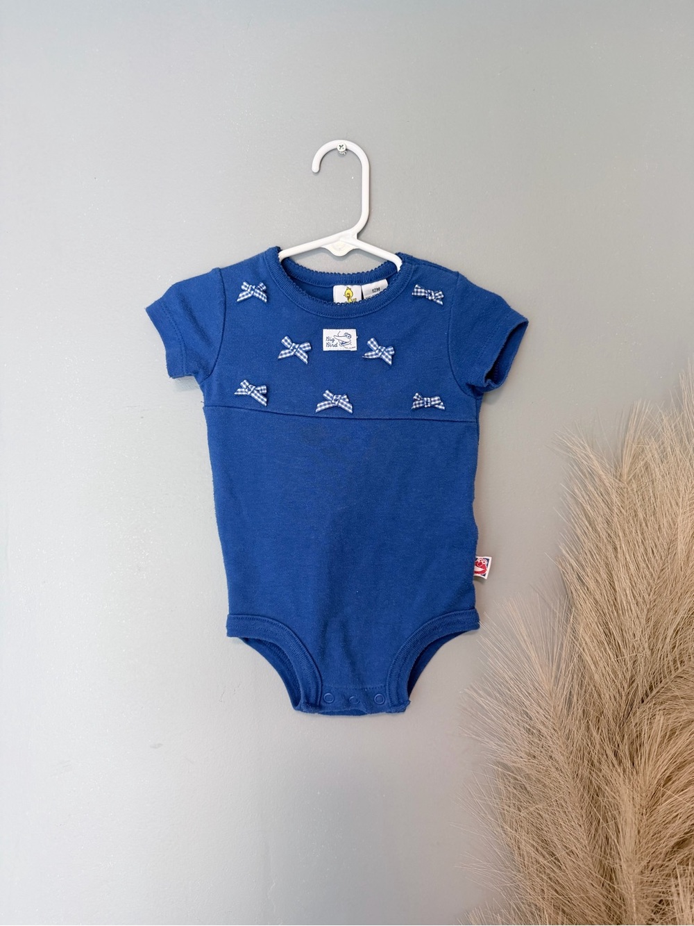 Vintage Sesame Street Big Bird Onesie